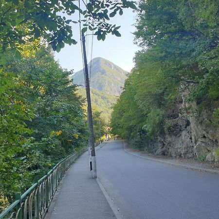 شقة Casa Arion Băile Herculane المظهر الخارجي الصورة