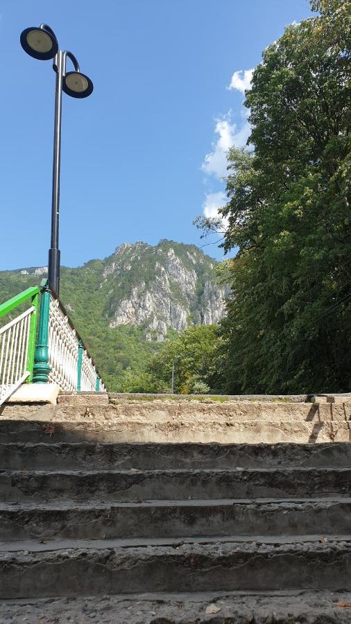 شقة Casa Arion Băile Herculane المظهر الخارجي الصورة