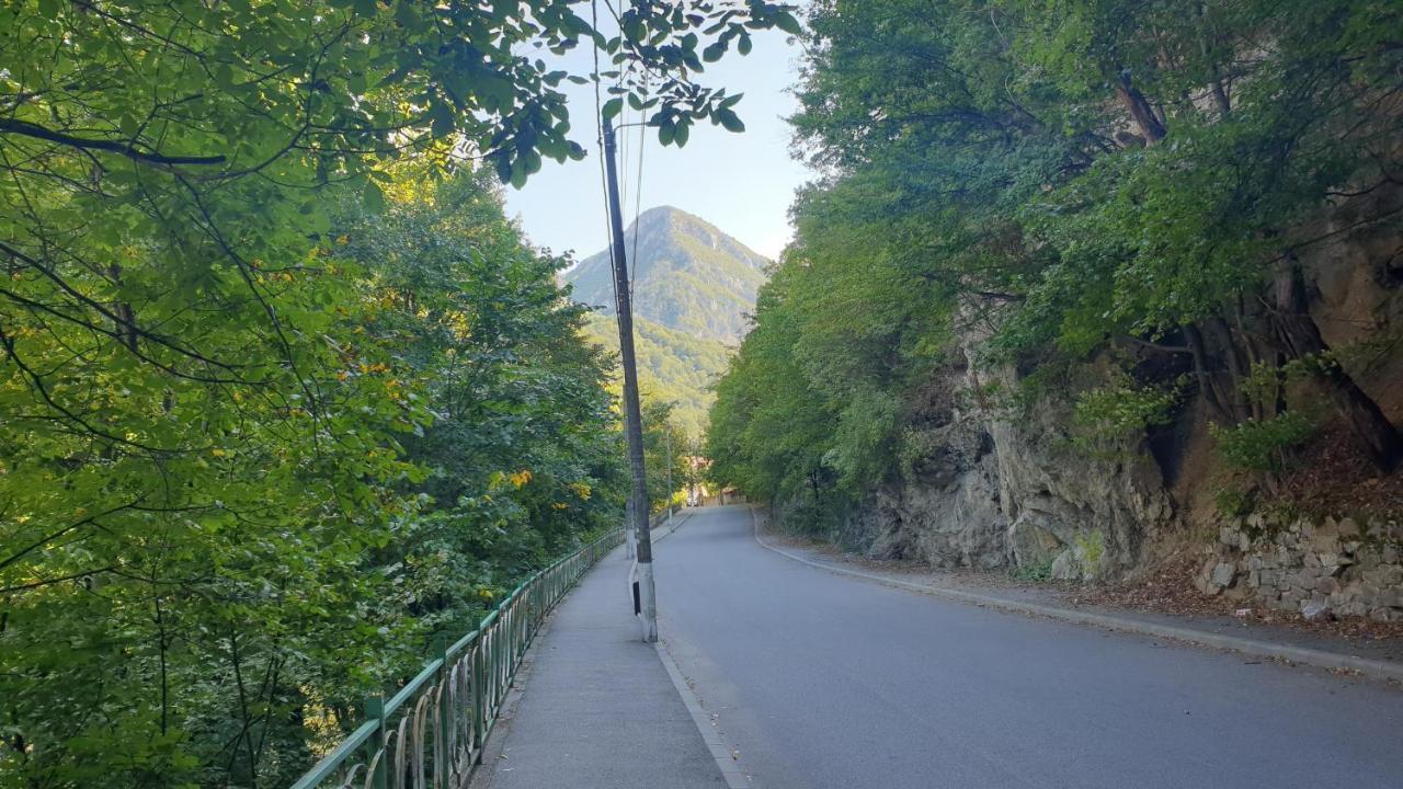 شقة Casa Arion Băile Herculane المظهر الخارجي الصورة